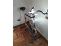 vendo-bici-spinning-marca-everlast-mtdo-0051-small-4