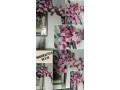 flores-orquideas-tela-2-varas-80-x-40-cm-small-0
