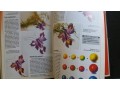 libro-flores-manuales-parramon-traido-de-barcelona-small-1
