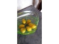 limones-decorativos-x-7-unidades-4x3-cm-small-1