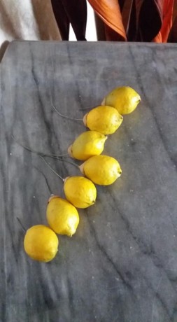 limones-decorativos-x-7-unidades-4x3-cm-big-2