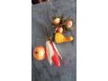 verduras-y-frutas-decorativas-varias-small-1