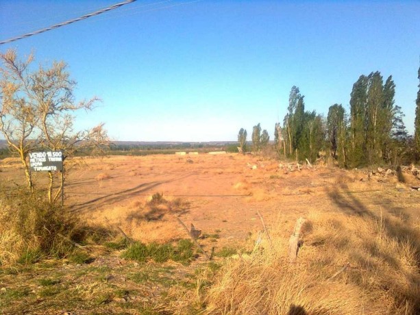 Dueña vende terreno 18500 mts Tupungato