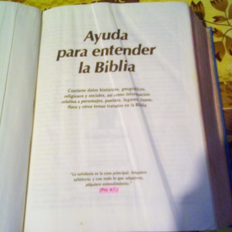 ayuda-para-entender-la-biblia-big-1