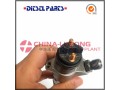 fuel-injection-pump-plunger-5681-fuel-injection-pump-plunger-5882-small-0