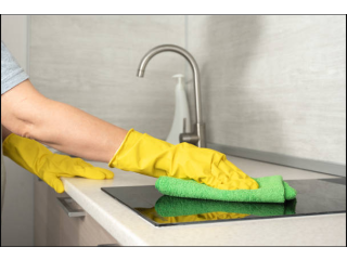 Personal para servicio domestico - limpieza en general