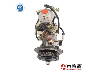 VE Fuel Injection Pump VE6-12F1100RND509