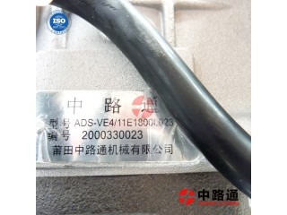 VE Fuel Injection Pump VE6/12F1300R929-2