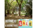 venta-8000-m-bermejo-frutales-vina-sin-mantenimiento-servicios-luz-gas-agua-derecho-a-turno-riego-small-0