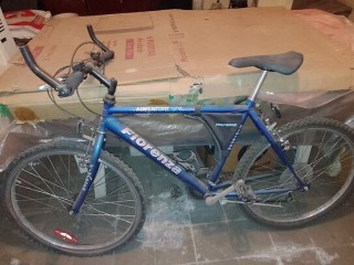 Vendo bicicleta Fiorenza Adventure