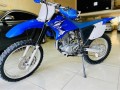 yamaha-ttr-230-2019-small-2