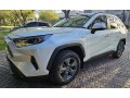 toyota-rav-xle-hybrid-2019-small-0