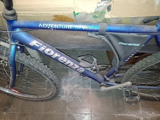 vendo-bicicleta-fiorenza-adventure-big-2