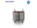 delphi-valve-28392662-small-0