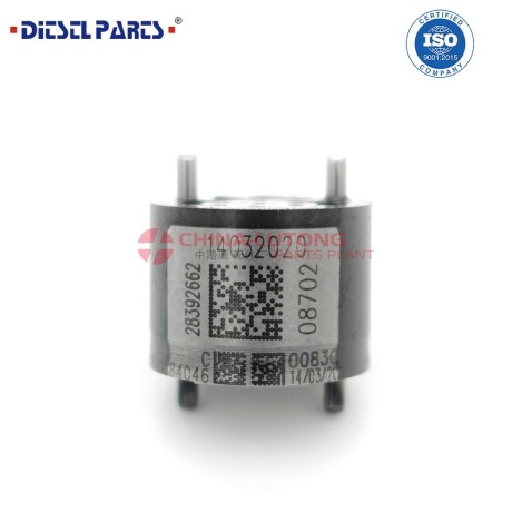 delphi-valve-28392662-big-0