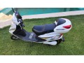 scooter-lucky-lion-electrica-small-3