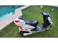 scooter-lucky-lion-electrica-small-6