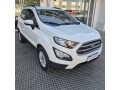 ecosport-15-2021-impecable-small-12