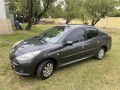 8600000-liquido-peugeot-207-small-1