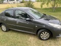 8600000-liquido-peugeot-207-small-2