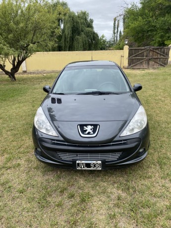 8600000-liquido-peugeot-207-big-0