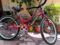 bicicleta-playera-poco-uso-small-2