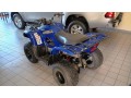 yamaha-grizzly-300cc-2013-small-2