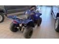 yamaha-grizzly-300cc-2013-small-3