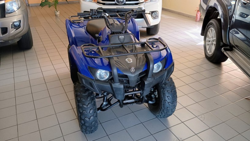 yamaha-grizzly-300cc-2013-big-0